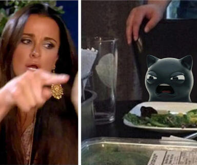 Woman Yelling at Cat meme